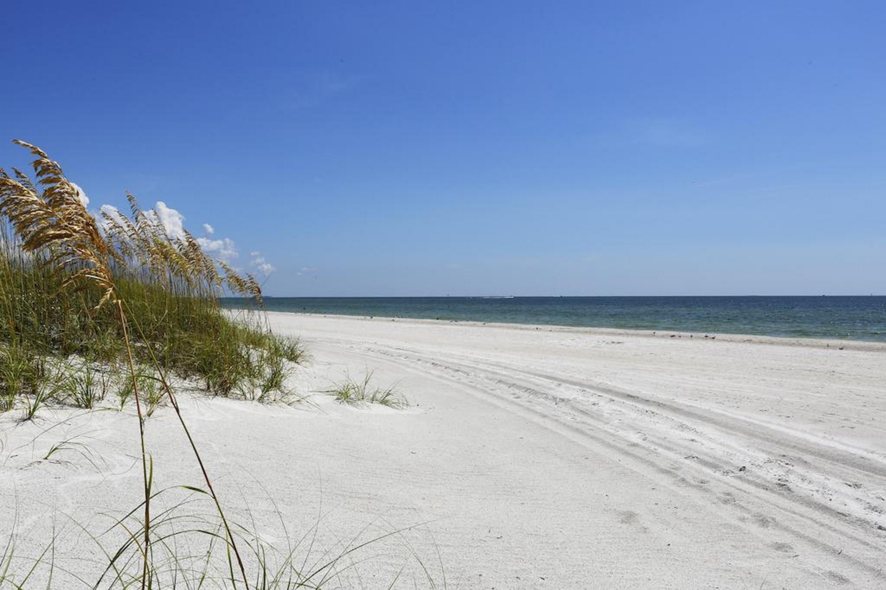 Barefoot Beach Club St. Pete Beach Kültér fotó